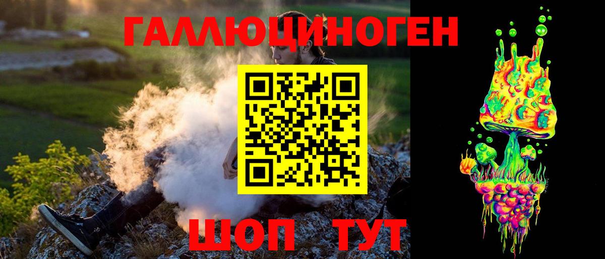 Псилоцибиновые грибы Psilocybine cubensis Саранск