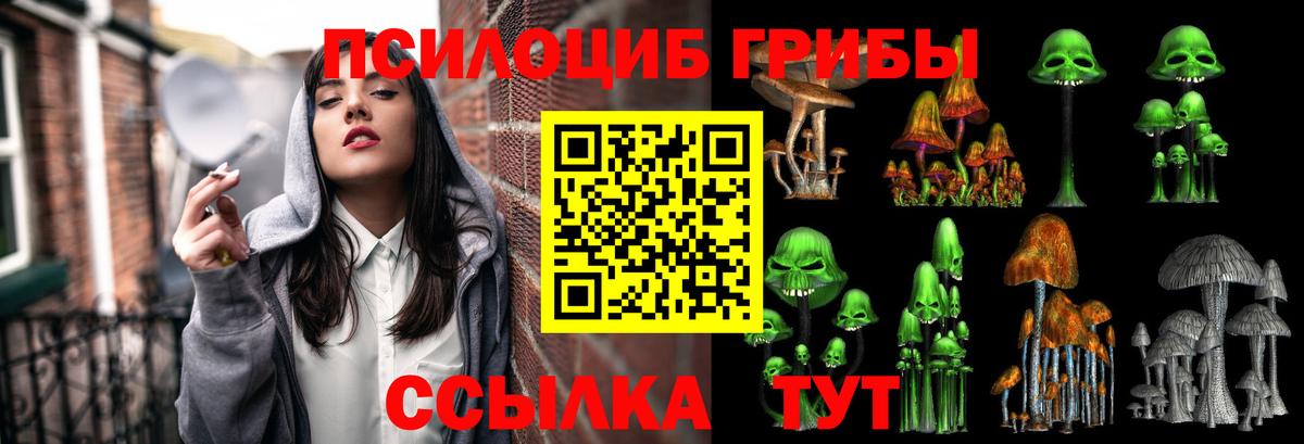 Саранск  Псилоцибиновые грибы ЛСД  Вход с VPN 